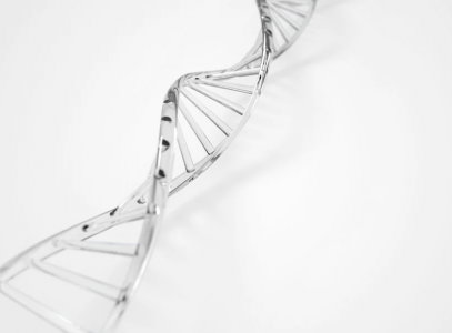 16s rRNA sequencing